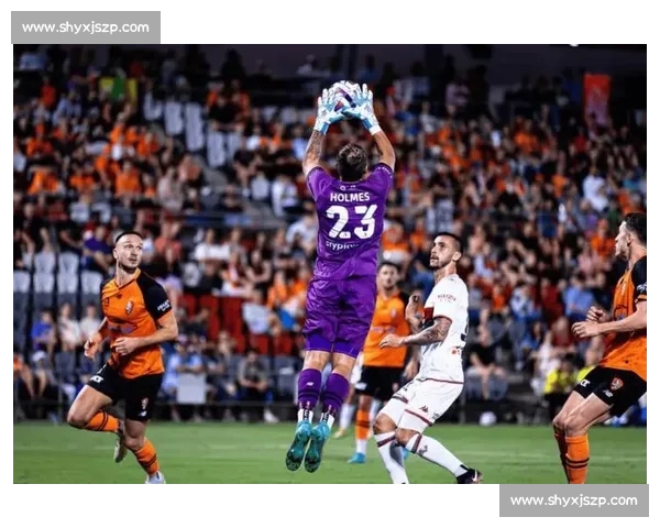 布里斯班狮吼对阵中央海岸水手焦点之战前瞻与走势解析全面观察版